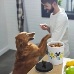 Disney Mickey Mouse Lemon Melamine Dog & Cat Treat Jar -Dog Supplies Store 315302 PT2. AC SS1800 V1647282011