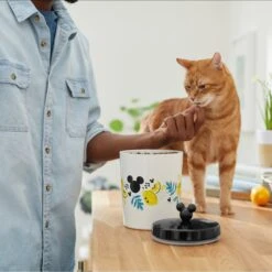 Disney Mickey Mouse Lemon Melamine Dog & Cat Treat Jar -Dog Supplies Store 315302 PT3. AC SS1800 V1647283698