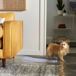 Frisco Washable Dog Potty Pads 10 Frisco Washable Dog Potty Pads -Dog Supplies Store 315712 PT3. AC SS1800 V1644880410