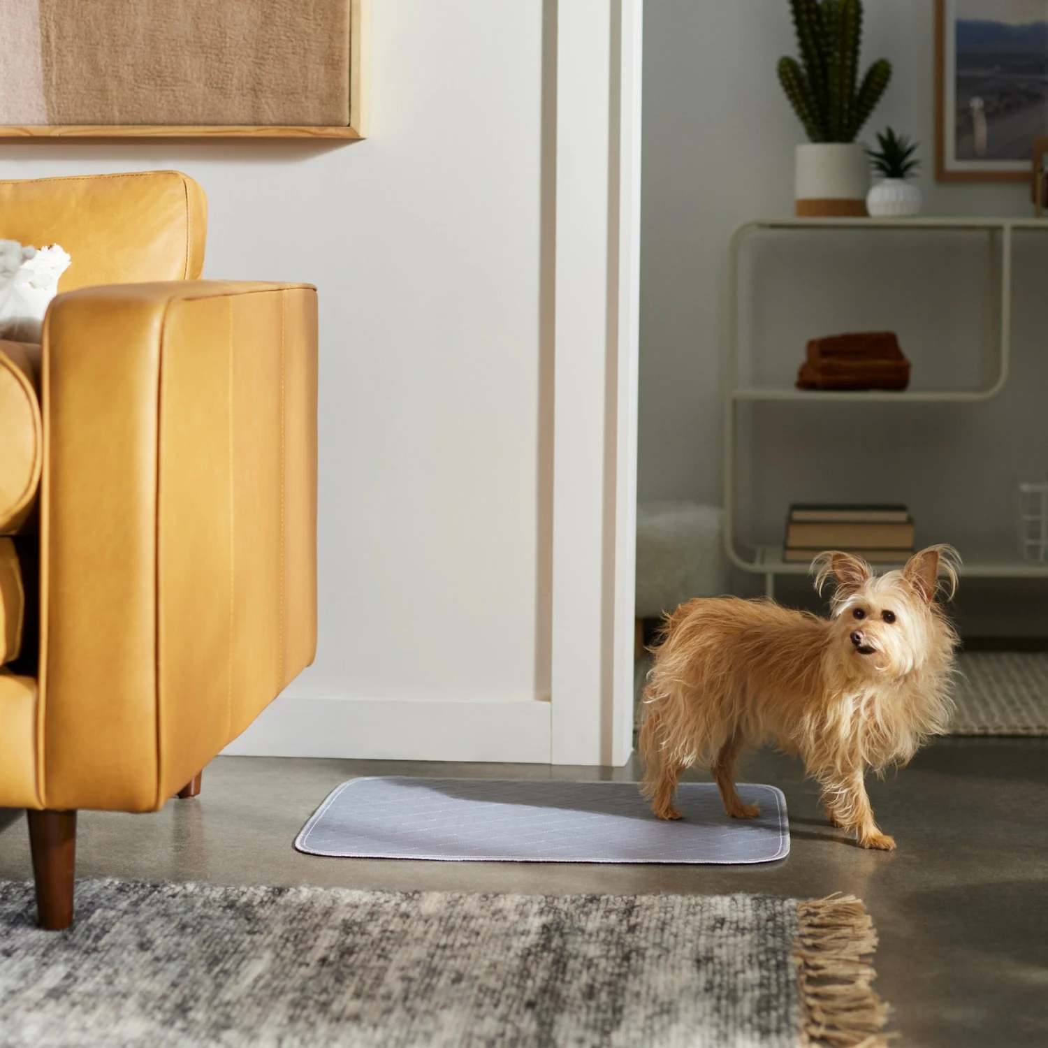 Frisco Washable Dog Potty Pads 6 Frisco Washable Dog Potty Pads - Image 4