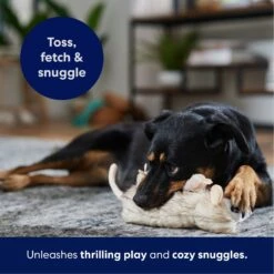 Frisco Realistic Opossum Plush Squeaky Dog Toy -Dog Supplies Store 316929 PT4. AC SS1800 V1695760990