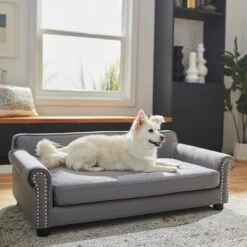 Frisco Sofa Pet Bed With Removable Cover & Frisco Eyelash Cat & Dog Blanket 15 Frisco Sofa Pet Bed With Removable Cover & Frisco Eyelash Cat & Dog Blanket -Dog Supplies Store 319504 PT4. AC SS1800 V1630625195