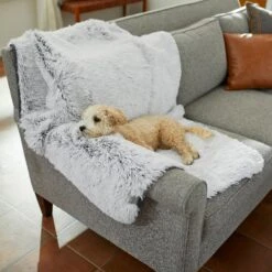 Frisco Sofa Pet Bed With Removable Cover & Frisco Eyelash Cat & Dog Blanket 19 Frisco Sofa Pet Bed With Removable Cover & Frisco Eyelash Cat & Dog Blanket -Dog Supplies Store 319504 PT8. AC SS1800 V1630629098
