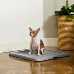 Frisco Training Pad Holder & Frisco Premium Dog Training & Potty Pads -Dog Supplies Store 319526 PT4. AC SS1800 V1630624305