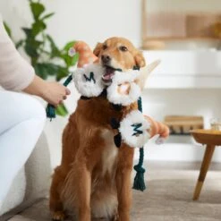 Frisco Mother's Day Gnomes Plush With Rope Squeaky Dog Toy -Dog Supplies Store 327037 PT3. AC SS1800 V1646948102