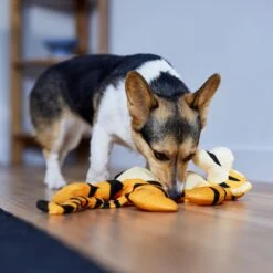 Disney Tigger Bungee Plush Squeaky Dog Toy -Dog Supplies Store 328769 PT3. AC SS1800 V1657718551