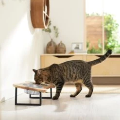 Frisco Premium Wood Elevated Bone Shape Stainless Steel Double Diner Dog & Cat Bowl, 3 Cup -Dog Supplies Store 331497 PT3. AC SS1800 V1657656892