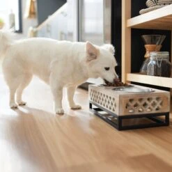 Frisco Premium Wood Elevated Stainless Steel Double Diner Dog & Cat Bowl, 3 Cup 9 Frisco Premium Wood Elevated Stainless Steel Double Diner Dog & Cat Bowl, 3 Cup -Dog Supplies Store 331507 PT2. AC SS1800 V1657656894