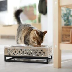 Frisco Premium Wood Elevated Stainless Steel Double Diner Dog & Cat Bowl, 3 Cup 10 Frisco Premium Wood Elevated Stainless Steel Double Diner Dog & Cat Bowl, 3 Cup -Dog Supplies Store 331507 PT3. AC SS1800 V1657656894