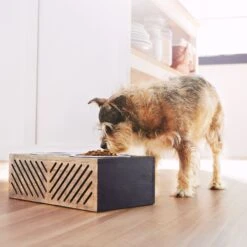 Frisco Premium Wood Elevated Stainless Steel Double Diner Dog & Cat Bowl, Black, 3 Cup 10 Frisco Premium Wood Elevated Stainless Steel Double Diner Dog & Cat Bowl, Black, 3 Cup -Dog Supplies Store 331509 PT2. AC SS1800 V1657656894