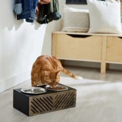 Frisco Premium Wood Elevated Stainless Steel Double Diner Dog & Cat Bowl, Black, 3 Cup 11 Frisco Premium Wood Elevated Stainless Steel Double Diner Dog & Cat Bowl, Black, 3 Cup -Dog Supplies Store 331509 PT3. AC SS1800 V1657656894