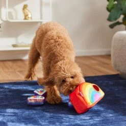 Frisco Pride Rainbow Hide & Seek Puzzle Plush Squeaky Dog Toy 9 Frisco Pride Rainbow Hide & Seek Puzzle Plush Squeaky Dog Toy -Dog Supplies Store 331673 PT3. AC SS1800 V1647356070