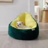 Frisco Avocado Cat & Dog Bed 2 Frisco Avocado Cat & Dog Bed -Dog Supplies Store 333856 MAIN. AC SS1800 V1658717997