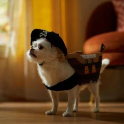 Frisco Pirate Ship Dog & Cat Costume 14 Frisco Pirate Ship Dog & Cat Costume -Dog Supplies Store 335078 PT7. AC SS1800 V1657656881