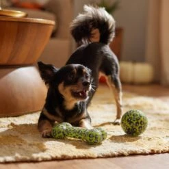 Frisco Halloween Glow In The Dark TPR Squeaky Bone & Ball Dog Toy 11 Frisco Halloween Glow In The Dark TPR Squeaky Bone & Ball Dog Toy -Dog Supplies Store 344130 PT3. AC SS1800 V1657657042