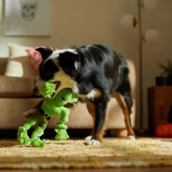 Frisco Halloween Goblin Plush With Rope Squeaky Dog Toy 9 Frisco Halloween Goblin Plush With Rope Squeaky Dog Toy -Dog Supplies Store 344132 PT3. AC SS1800 V1657657042