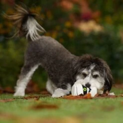 Frisco Halloween Mummy Latex Squeaky Dog Toy -Dog Supplies Store 344140 PT3. AC SS1800 V1657657042