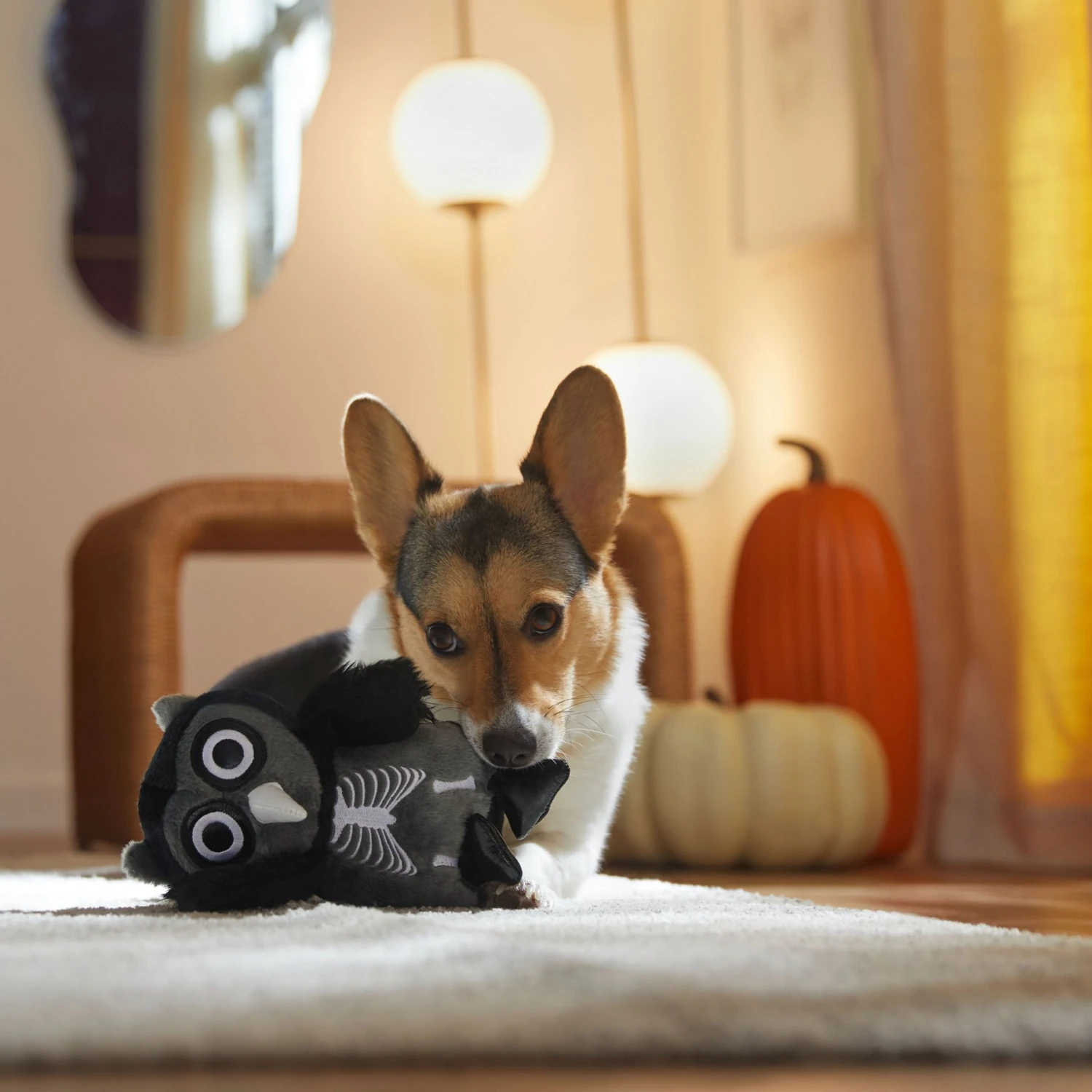 Frisco Halloween Spooky Owl Plush Squeaky Dog Toy 5 Frisco Halloween Spooky Owl Plush Squeaky Dog Toy - Image 3