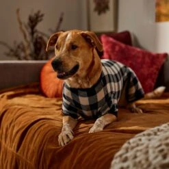 Frisco Plaid Dog & Cat Fleece Pajamas 12 Frisco Plaid Dog & Cat Fleece Pajamas -Dog Supplies Store 353755 PT6. AC SS1800 V1660749967