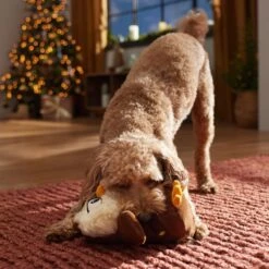 Frisco Holiday Festive Owl Plush Squeaky Dog Toy -Dog Supplies Store 360919 PT3. AC SS1800 V1661874361