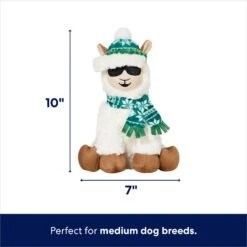 New Arrival -Dog Supplies Store 360924 PT1. AC SS1800 V1695046159