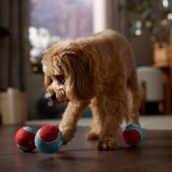 Frisco Holiday Ho Ho Ho Fetch Squeaky Tennis Ball Dog Toy -Dog Supplies Store 360952 PT3. AC SS1800 V1661874421