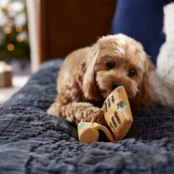 Frisco Holiday Santa's List Plush & TPR Inside Dog Toy -Dog Supplies Store 360970 PT3. AC SS1800 V1661874421