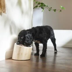 Frisco Elevated Slanted Bamboo Melamine Non-Skid Dog Bowl With Bamboo Stand -Dog Supplies Store 363387 PT2. AC SS1800 V1657657267