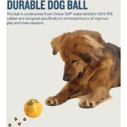 Planet Dog Orbee-Tuff Essentials Vanilla Scented Interactive Dog Ball Treat Dispenser Toy, Yellow -Dog Supplies Store 367765 PT4. AC SS1800 V1644525693