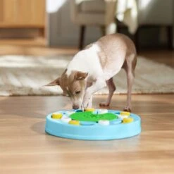 Frisco Seek & Discover Interactive Puzzle Dog Toy, Moderate -Dog Supplies Store 506250 PT5. AC SS1800 V1674664929