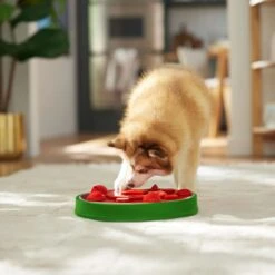 Frisco Watermelon Interactive Puzzle Dog Toy, Advanced -Dog Supplies Store 506322 PT5. AC SS1800 V1674667034