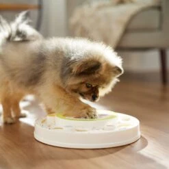 Frisco Tiered Cake Interactive Puzzle Dog Toy, Easy -Dog Supplies Store 506346 PT5. AC SS1800 V1674666566