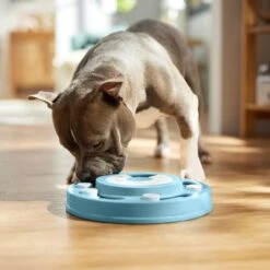 Frisco Two Tier Interactive Puzzle Dog Toy, Easy 14 Frisco Two Tier Interactive Puzzle Dog Toy, Easy -Dog Supplies Store 506370 PT5. AC SS1800 V1674671566