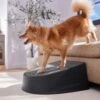 Frisco Plastic Easy Step Cat & Dog Stair -Dog Supplies Store 542390 MAIN. AC SS1800 V1671829661