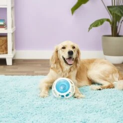 JW Pet Rockin Treat Ball -Dog Supplies Store 55169 PT2. AC SS1800 V1530541353