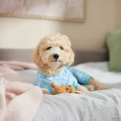 Frisco Blue Ocean Waves Dog & Cat Jersey PJs 12 Frisco Blue Ocean Waves Dog & Cat Jersey PJs -Dog Supplies Store 556142 PT5. AC SS1800 V1674828705