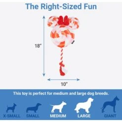 Disney Mickey Mouse Donut Plush Squeaky Dog Toy + 3 Items 16 Disney Mickey Mouse Donut Plush Squeaky Dog Toy + 3 Items -Dog Supplies Store 582398 PT6. AC SS1800 V1658239540