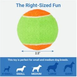 Frisco Dumbbell TPR Fetch Dog Toy + 3 Items -Dog Supplies Store 582446 PT6. AC SS1800 V1658238980