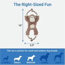 Frisco Forest Friends Stuffing-Free Skinny Plush Squeaky Dog Toy + 3 Items -Dog Supplies Store 582478 PT6. AC SS1800 V1658239277