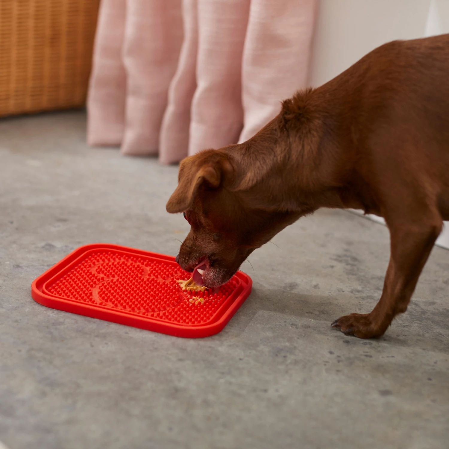 Disney Mickey Silicone Dog & Cat Lick Mat & Disney Mickey Silicone Dog & Cat Lick Mat 4 Disney Mickey Silicone Dog & Cat Lick Mat & Disney Mickey Silicone Dog & Cat Lick Mat - Image 3