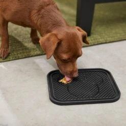 Disney Mickey Silicone Dog & Cat Lick Mat & Disney Mickey Silicone Dog & Cat Lick Mat 11 Disney Mickey Silicone Dog & Cat Lick Mat & Disney Mickey Silicone Dog & Cat Lick Mat -Dog Supplies Store 623358 PT7. AC SS1800 V1661896456