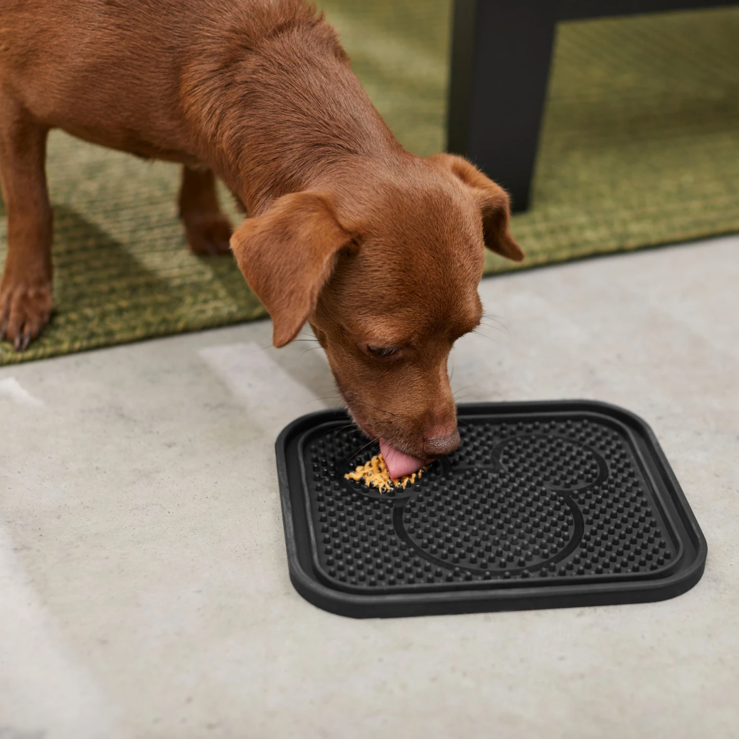 Disney Mickey Silicone Dog & Cat Lick Mat & Disney Mickey Silicone Dog & Cat Lick Mat 6 Disney Mickey Silicone Dog & Cat Lick Mat & Disney Mickey Silicone Dog & Cat Lick Mat - Image 5