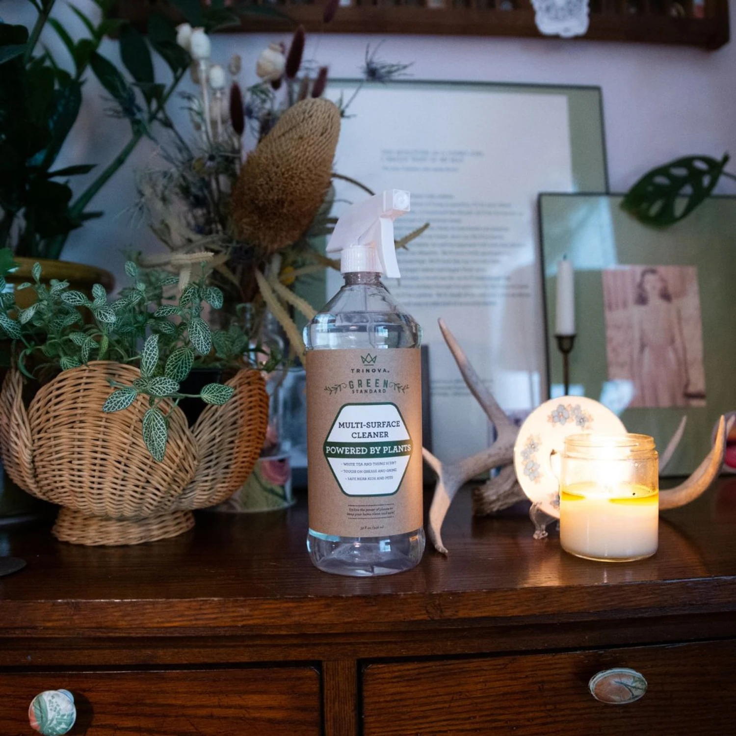 TriNova Natural Multi-Surface Dog, Cat & Small Pet Cleaner, 32-oz Bottle, 2 Count 8 TriNova Natural Multi-Surface Dog, Cat & Small Pet Cleaner, 32-oz Bottle, 2 Count - Image 6