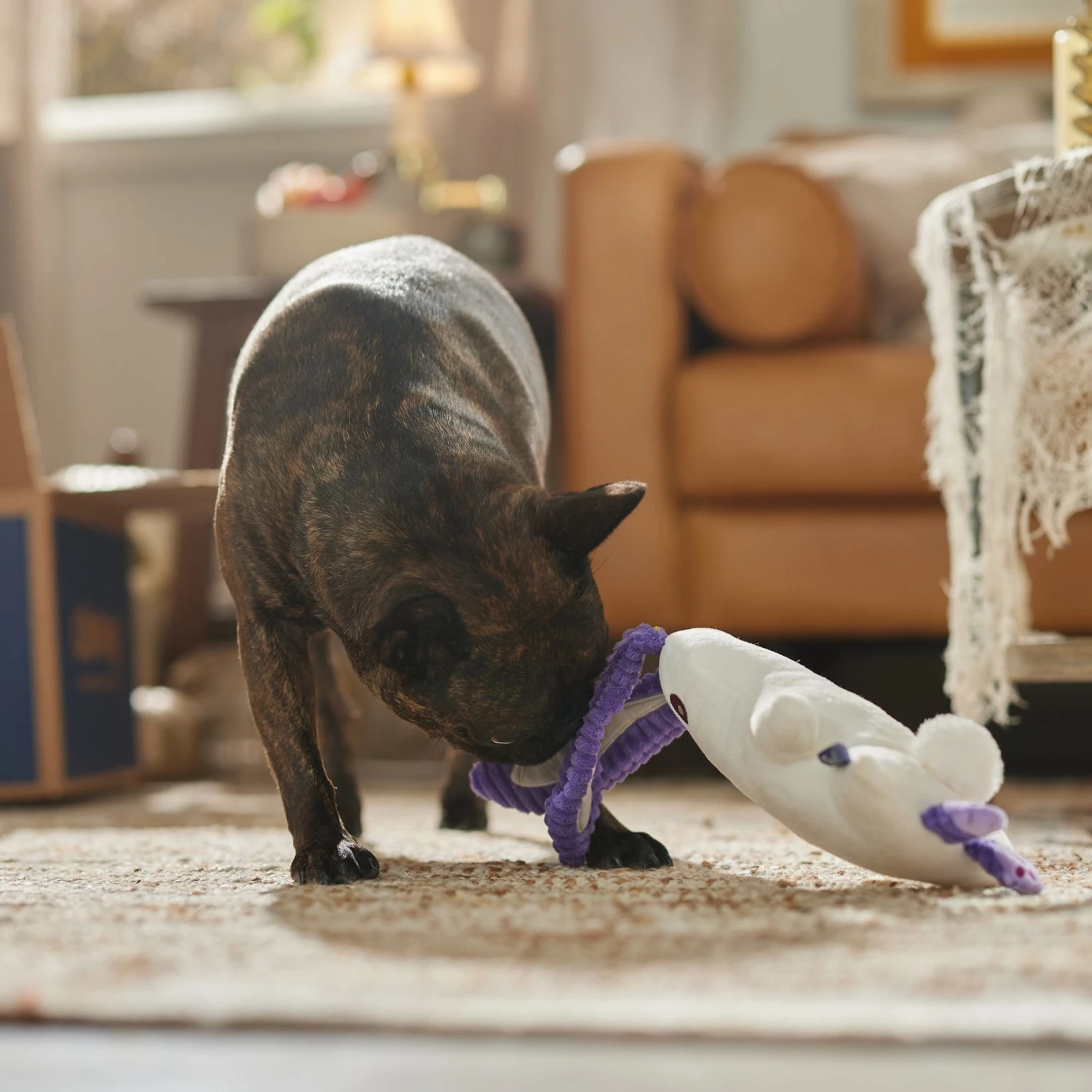 Frisco Halloween Bunny Ghost Plush Squeaky Dog Toy 6 Frisco Halloween Bunny Ghost Plush Squeaky Dog Toy - Image 4