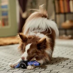 Frisco Halloween Bat Fetch Squeaky Tennis Ball Dog Toy 10 Frisco Halloween Bat Fetch Squeaky Tennis Ball Dog Toy -Dog Supplies Store 668278 PT3. AC SS1800 V1689350166