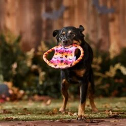 Frisco Halloween Ghost Swirl Fetch Flyer Dog Toy 8 Frisco Halloween Ghost Swirl Fetch Flyer Dog Toy -Dog Supplies Store 668294 PT3. AC SS1800 V1689278363