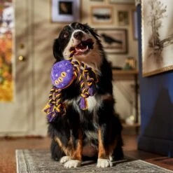 Frisco Halloween Magical Spider Plush With Rope Squeaky Dog Toy 10 Frisco Halloween Magical Spider Plush With Rope Squeaky Dog Toy -Dog Supplies Store 668310 PT3. AC SS1800 V1690571954