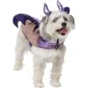 Frisco Dragon Dog & Cat Costume Accessory -Dog Supplies Store 706582 MAIN. AC SS1800 V1689271214