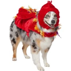 Frisco Flying Phoenix Dog & Cat Costume -Dog Supplies Store 708150 PT3. AC SS1800 V1691084928