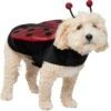 Frisco Glittered Ladybug Dog & Cat Costume -Dog Supplies Store 708254 MAIN. AC SS1800 V1689277785